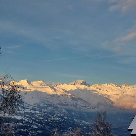 Appartement Aux Coches 6 Personnes 1 Chambre 23M2 8 Couchages La Plagne Eksteriør billede