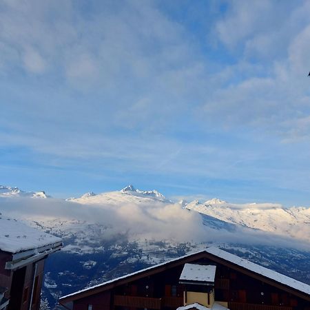 Appartement Aux Coches 6 Personnes 1 Chambre 23M2 8 Couchages La Plagne Eksteriør billede