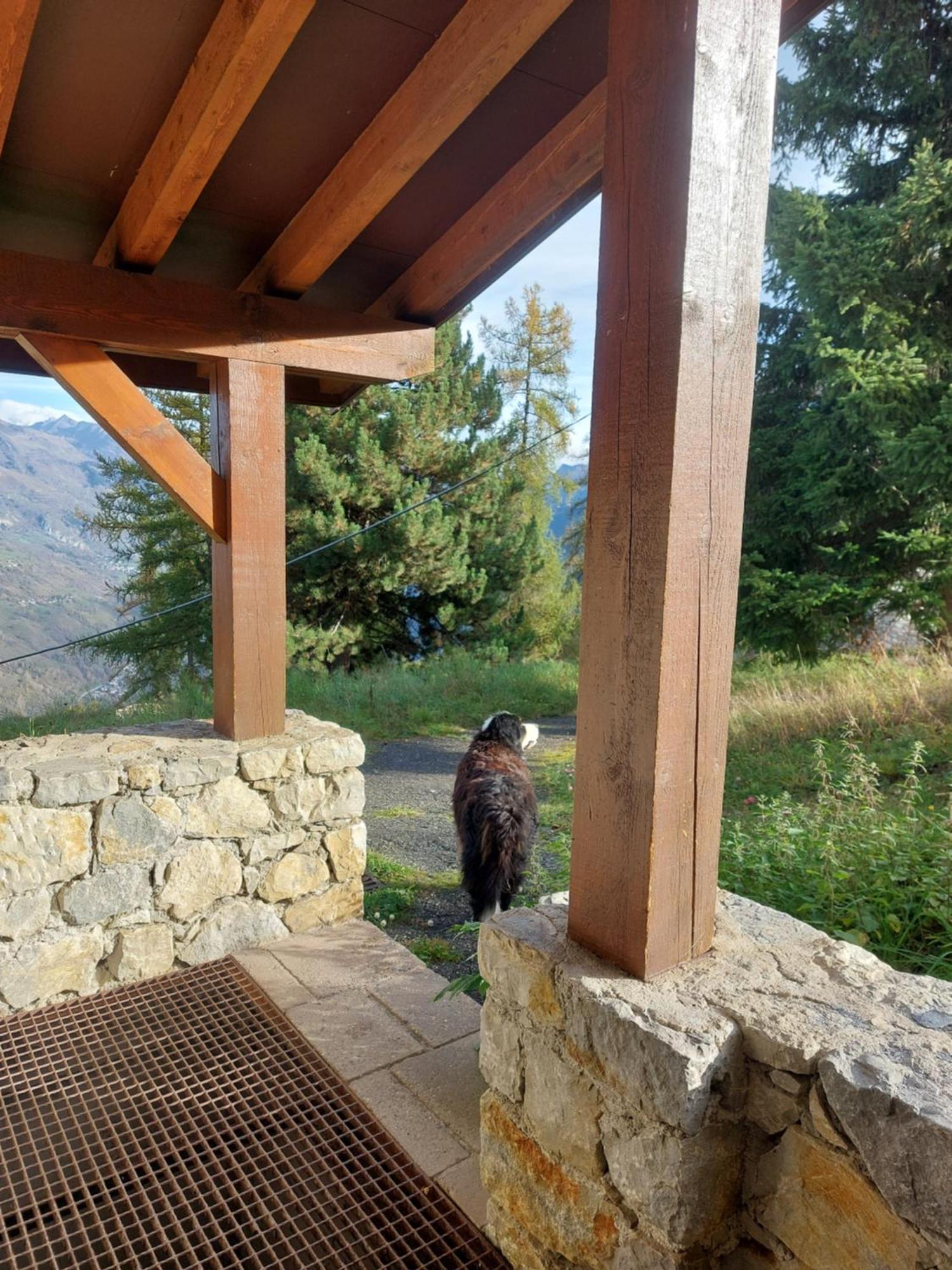Appartement Aux Coches 6 Personnes 1 Chambre 23M2 8 Couchages La Plagne Eksteriør billede