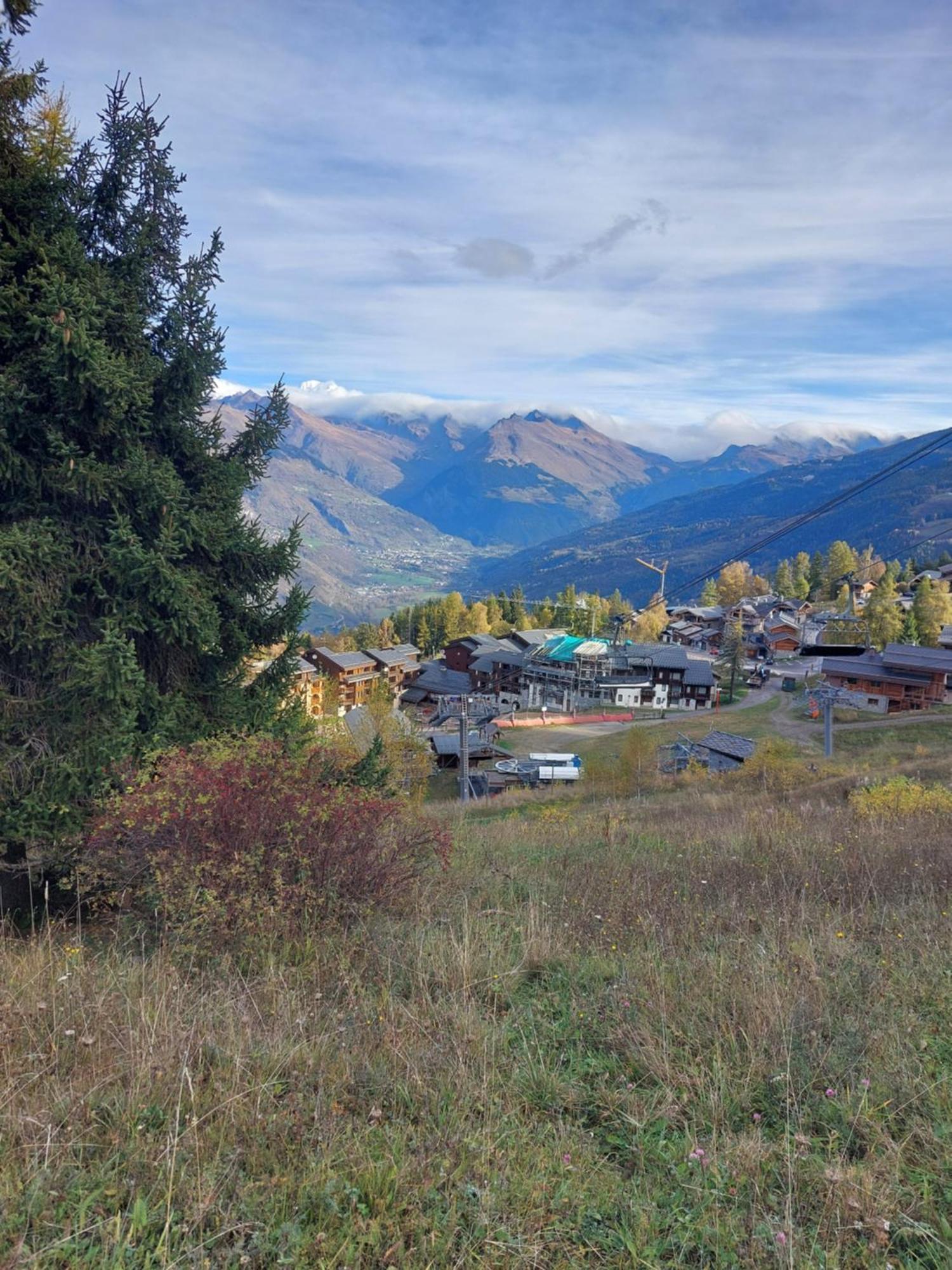 Appartement Aux Coches 6 Personnes 1 Chambre 23M2 8 Couchages La Plagne Eksteriør billede