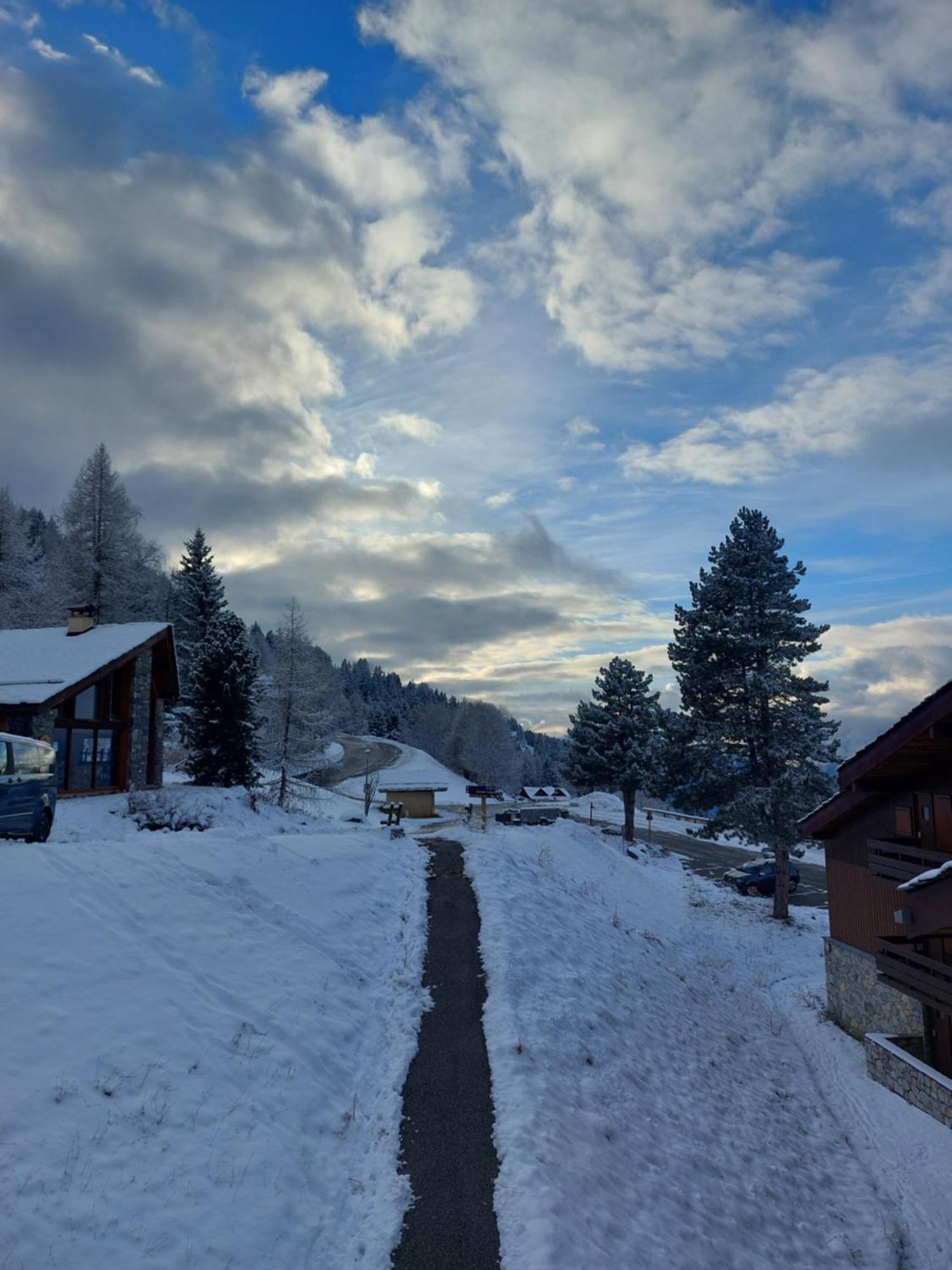 Appartement Aux Coches 6 Personnes 1 Chambre 23M2 8 Couchages La Plagne Eksteriør billede